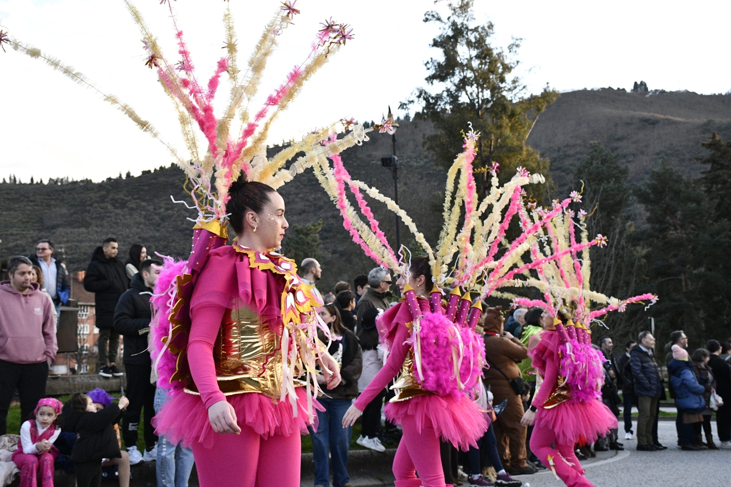 Carnaval de Ponferrada 2026 (151) Carnaval de Ponferrada 2026 (151)