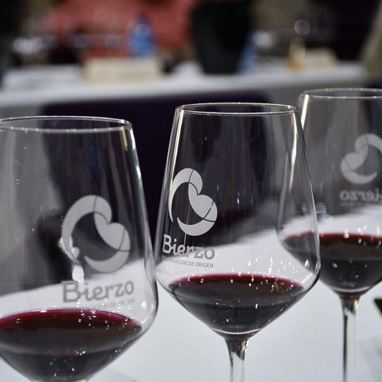 Vinos de El Bierzo Vinos de El Bierzo