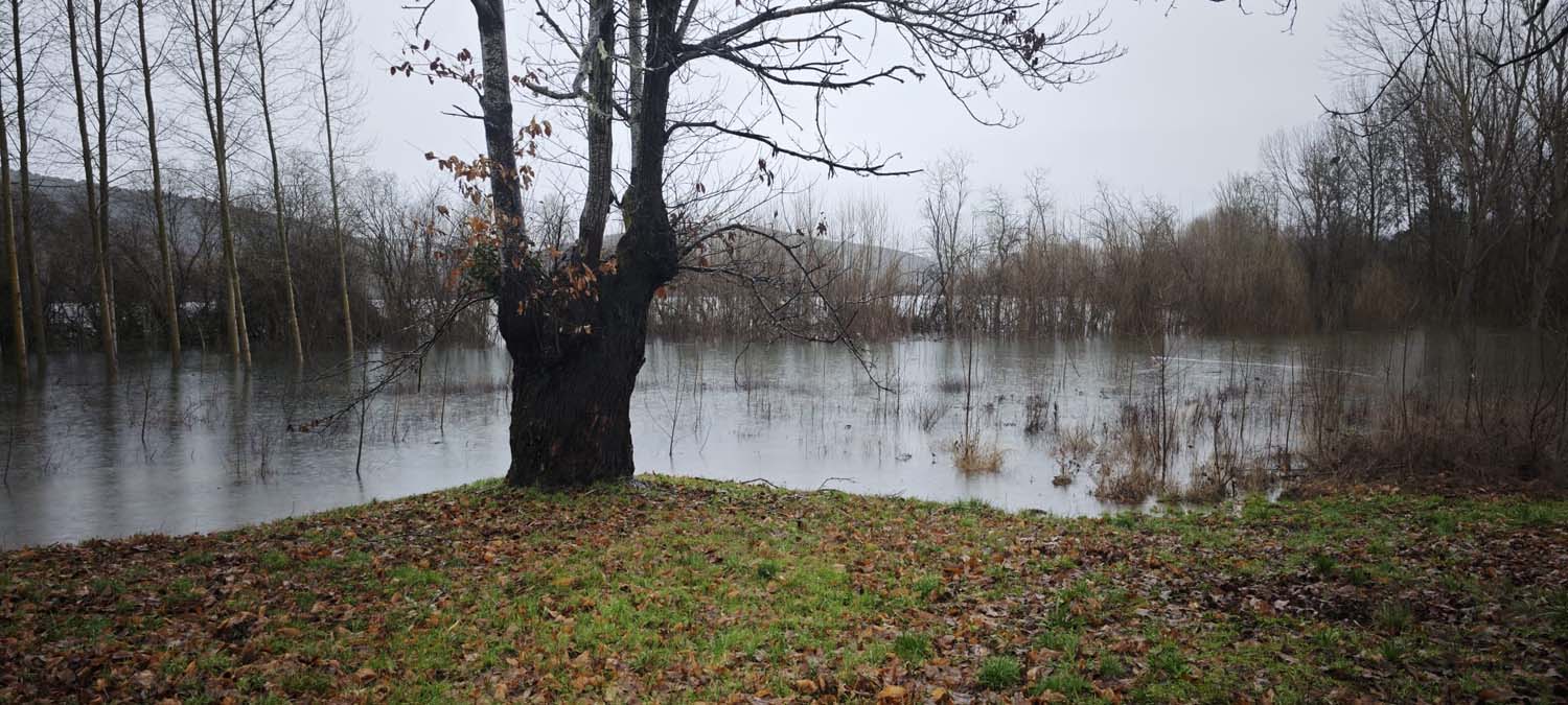 Crecida del lago de Carucedo (6)