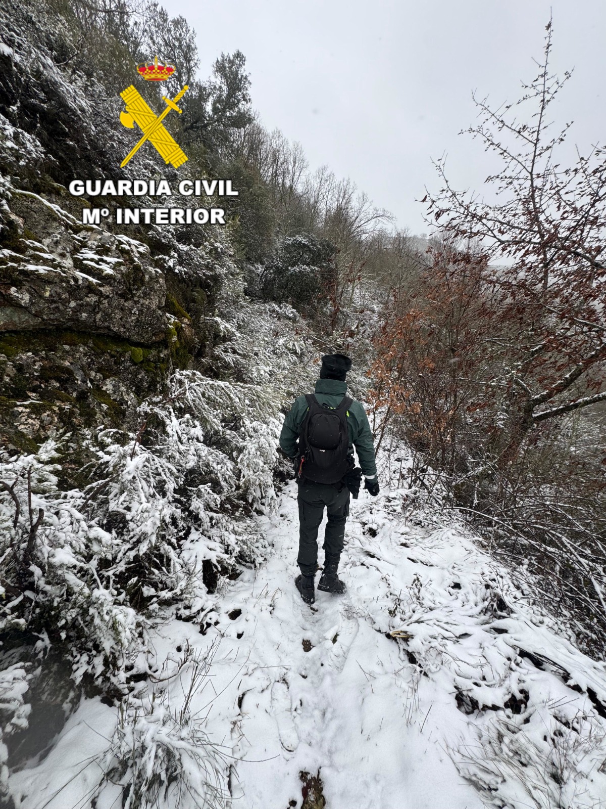 Localizado el cuerpo sin vida de la mujer alemana desaparecida en Matavenero (1) Localizado el cuerpo sin vida de la mujer alemana desaparecida en Matavenero (1)