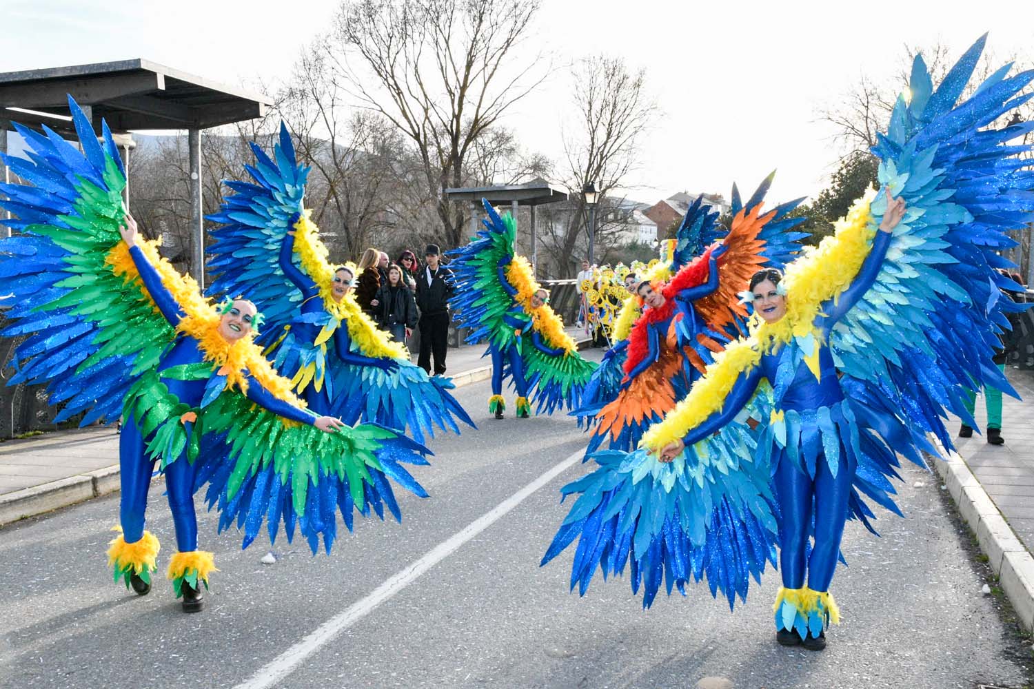 Desfile Carnaval Bembibre 