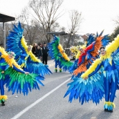 Desfile Carnaval Bembibre 