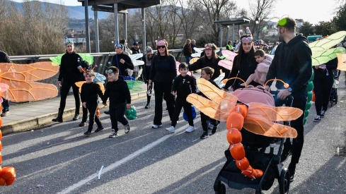 Carnaval Bembibre (91)