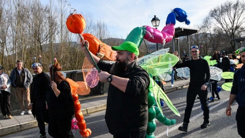 Carnaval Bembibre (81)