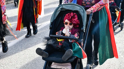 Carnaval Bembibre (75)