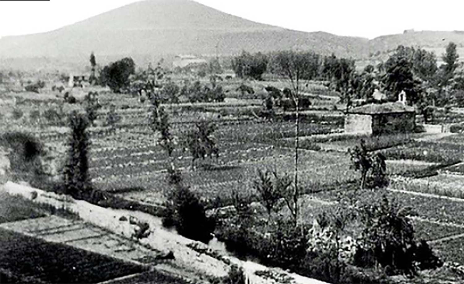 Foto antigua de las huertas