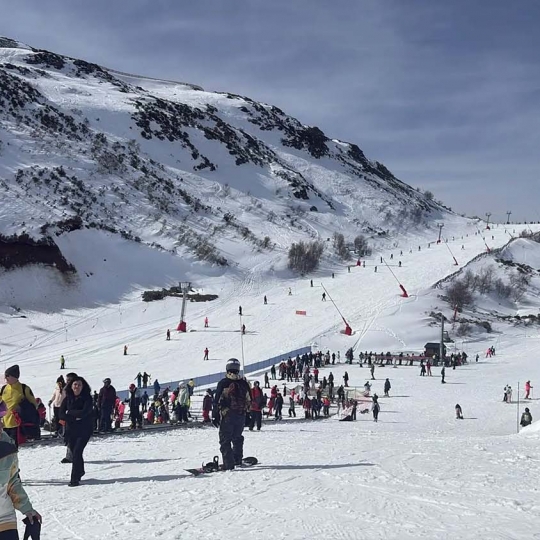 Leitariegos Leitariegos