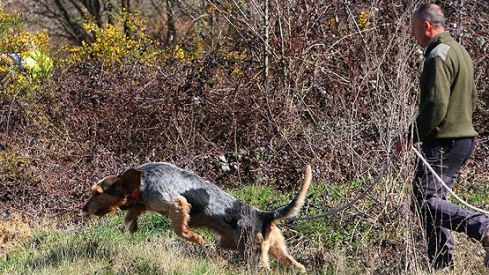 20150314 019 20150314 019