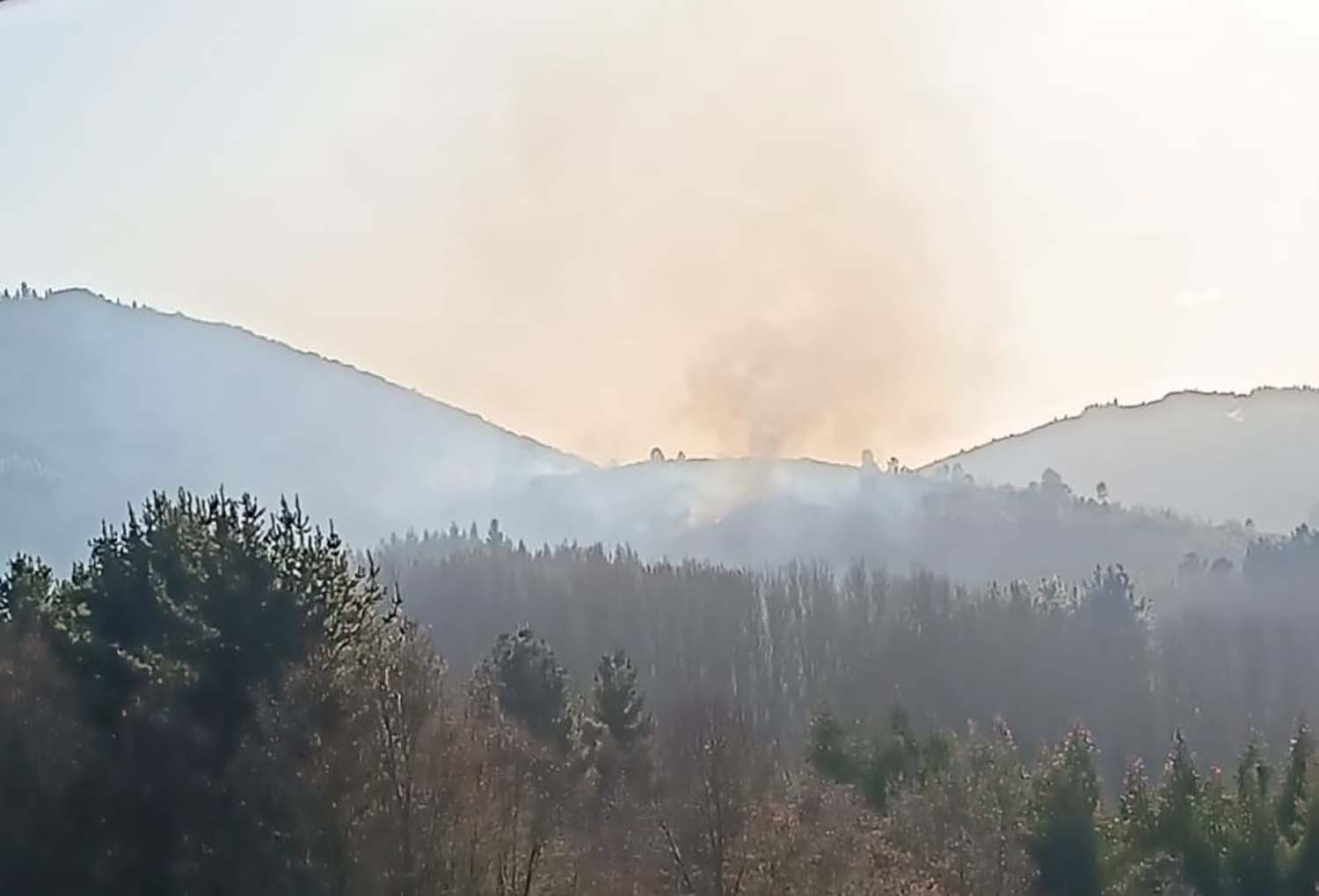 Incendio en El Espino