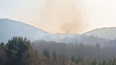 Incendio en El Espino Incendio en El Espino