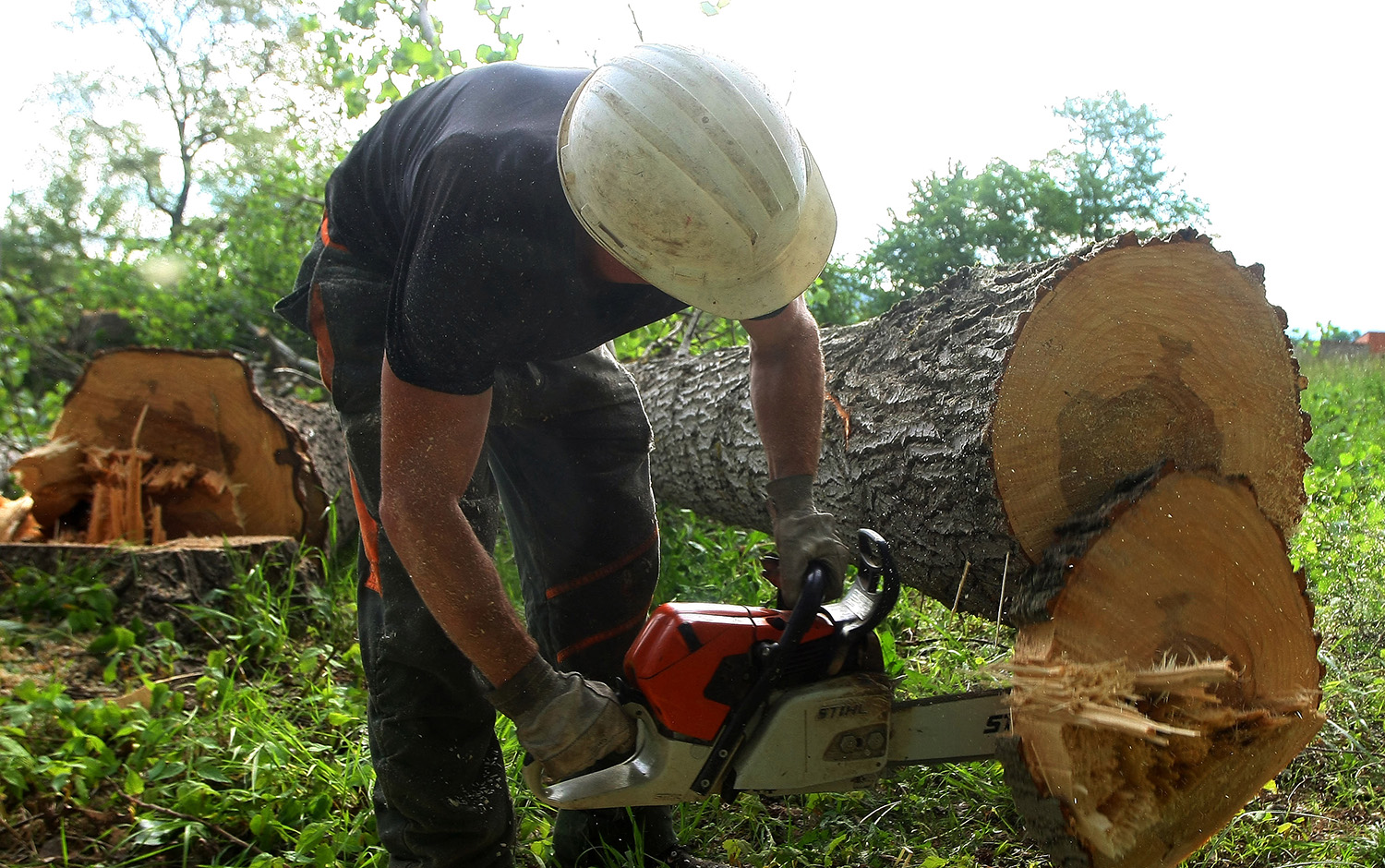 Un trabajador en una finca de El Bierzo Un trabajador en una finca de El Bierzo