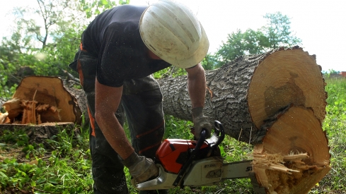 Un trabajador en una finca de El Bierzo Un trabajador en una finca de El Bierzo