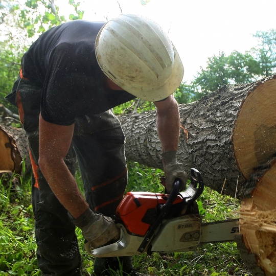 Un trabajador en una finca de El Bierzo Un trabajador en una finca de El Bierzo