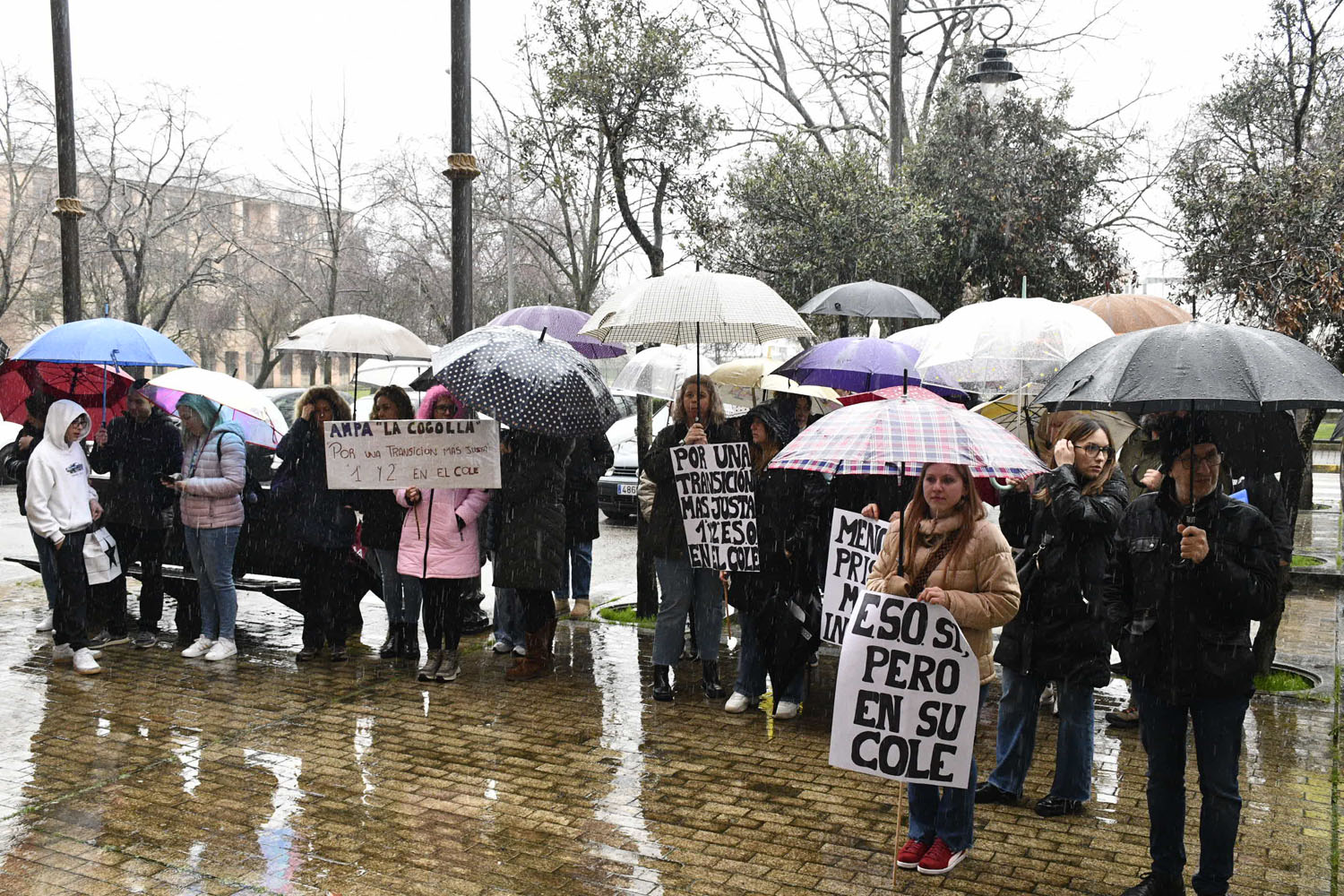 Movilización colegios en la Delegación de la Junta en Ponferrada (15)