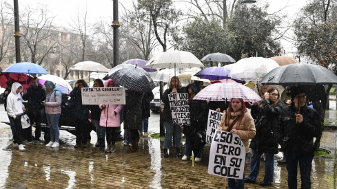 Movilización colegios en la Delegación de la Junta en Ponferrada (15)