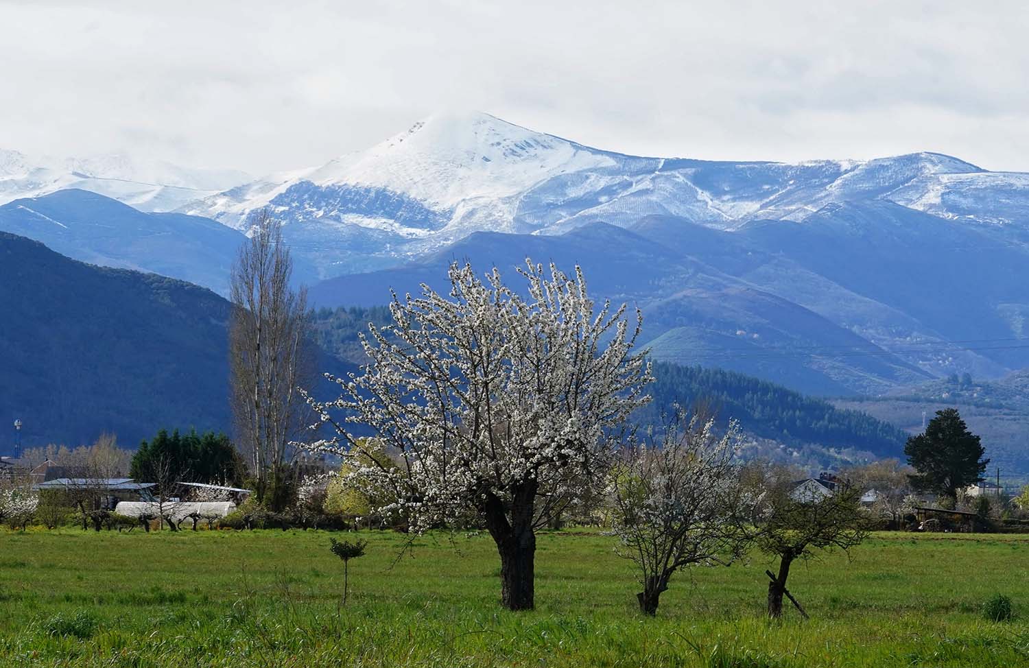 Primavera en El Bierzo César Sánchez ICAL