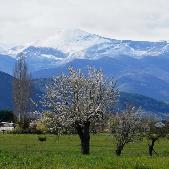 Primavera en El Bierzo César Sánchez ICAL Primavera en El Bierzo César Sánchez ICAL