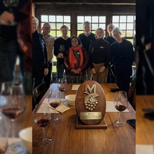 La Denominación de Origen Bierzo, elegida Región Vitivinícola del Año 2026 por Munskänkarna La Denominación de Origen Bierzo, elegida Región Vitivinícola del Año 2026 por Munskänkarna