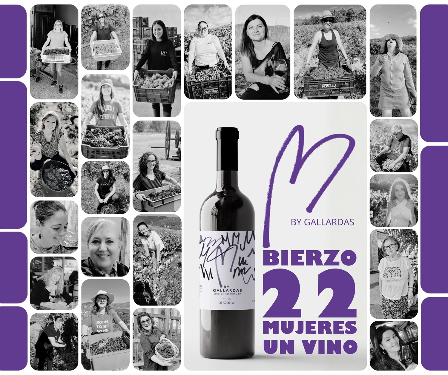 Cartel M By Gallardas