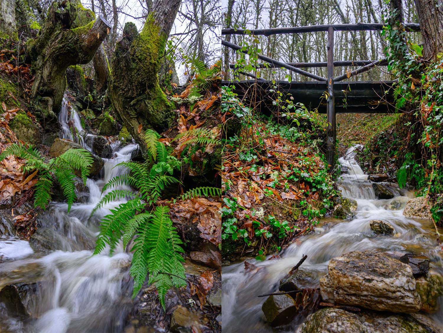 'Senda del Bosque' delSoto de Villar de los Barrios