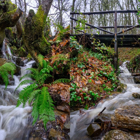 'Senda del Bosque' del  Soto de Villar de los Barrios
