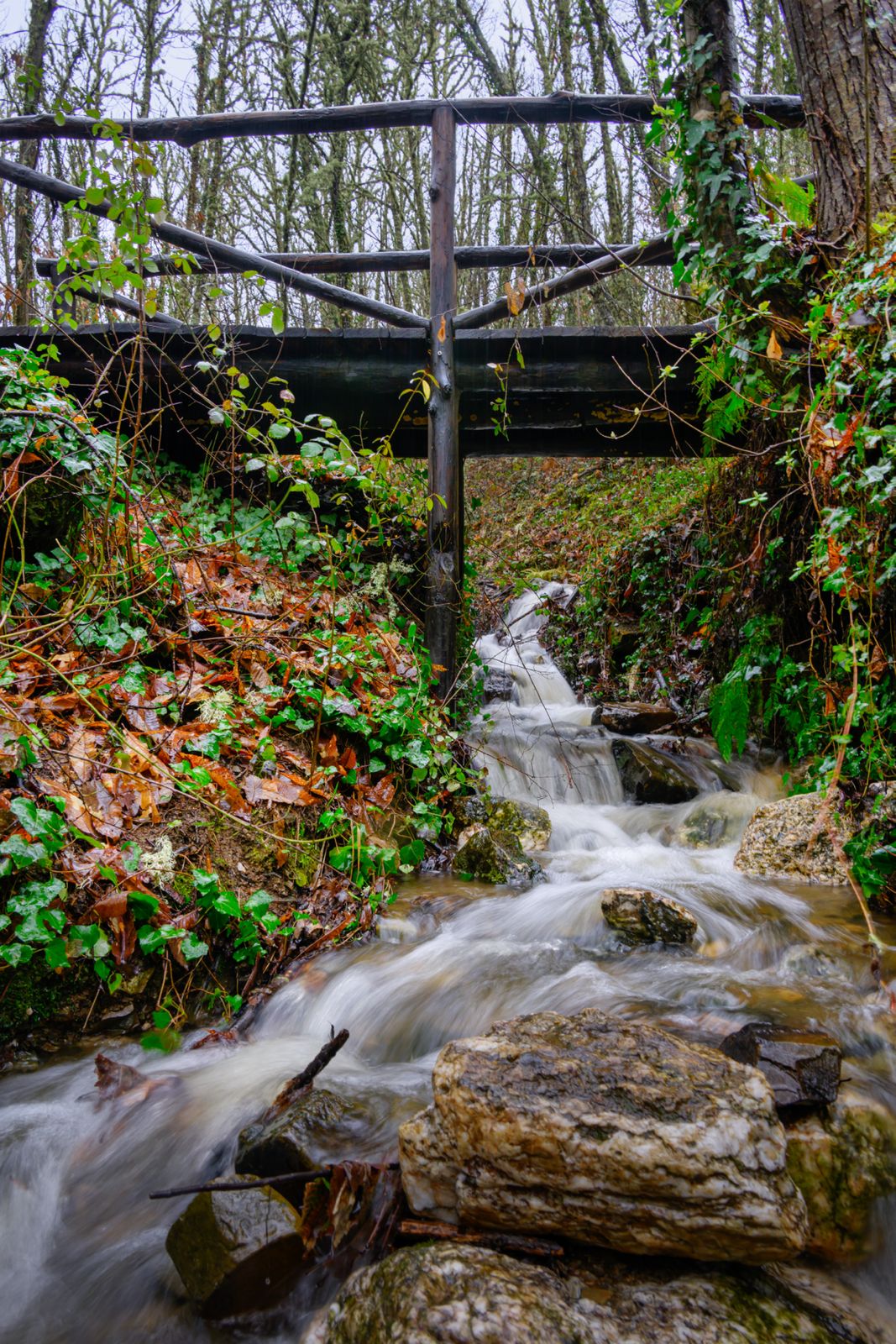 'Senda del Bosque' delSoto de Villar de los Barrios 