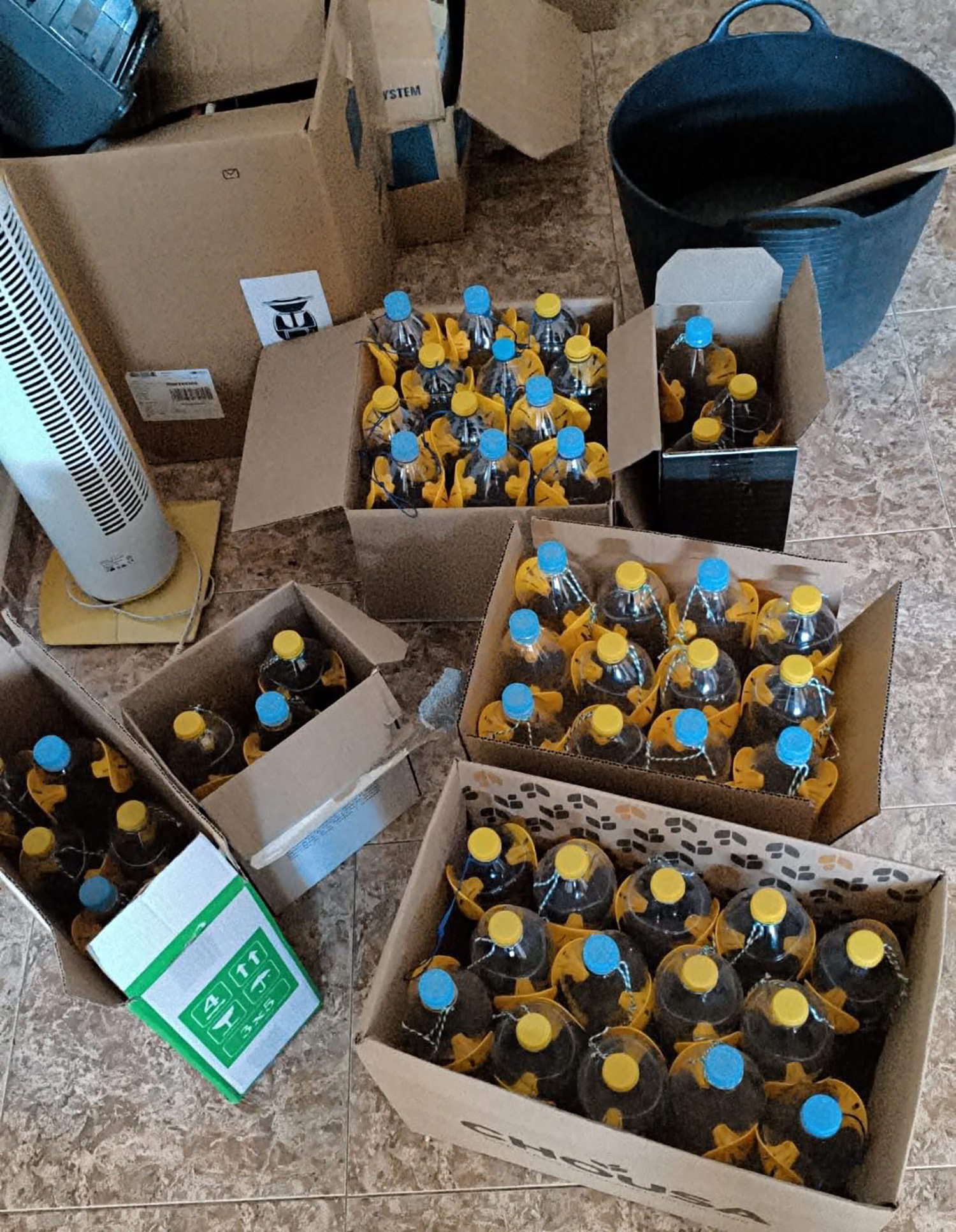 Trampeo de avispa asiática en Cabañas Raras