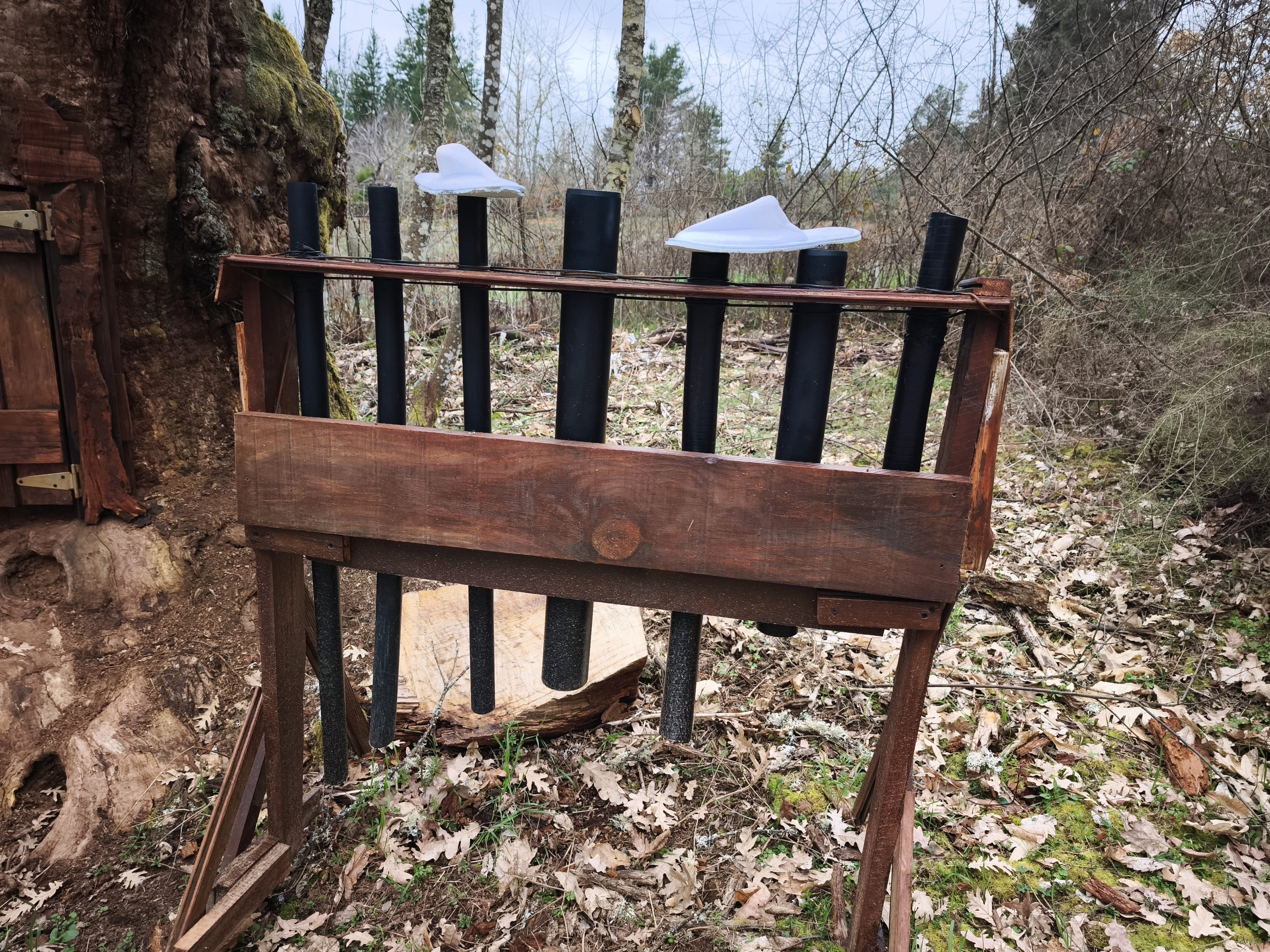 Parque musical Binatur 2