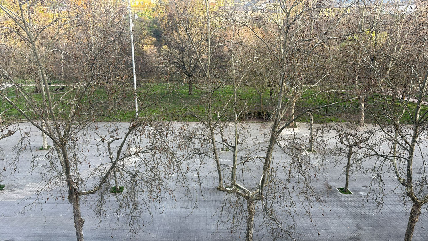 Jardines del Sil (3)