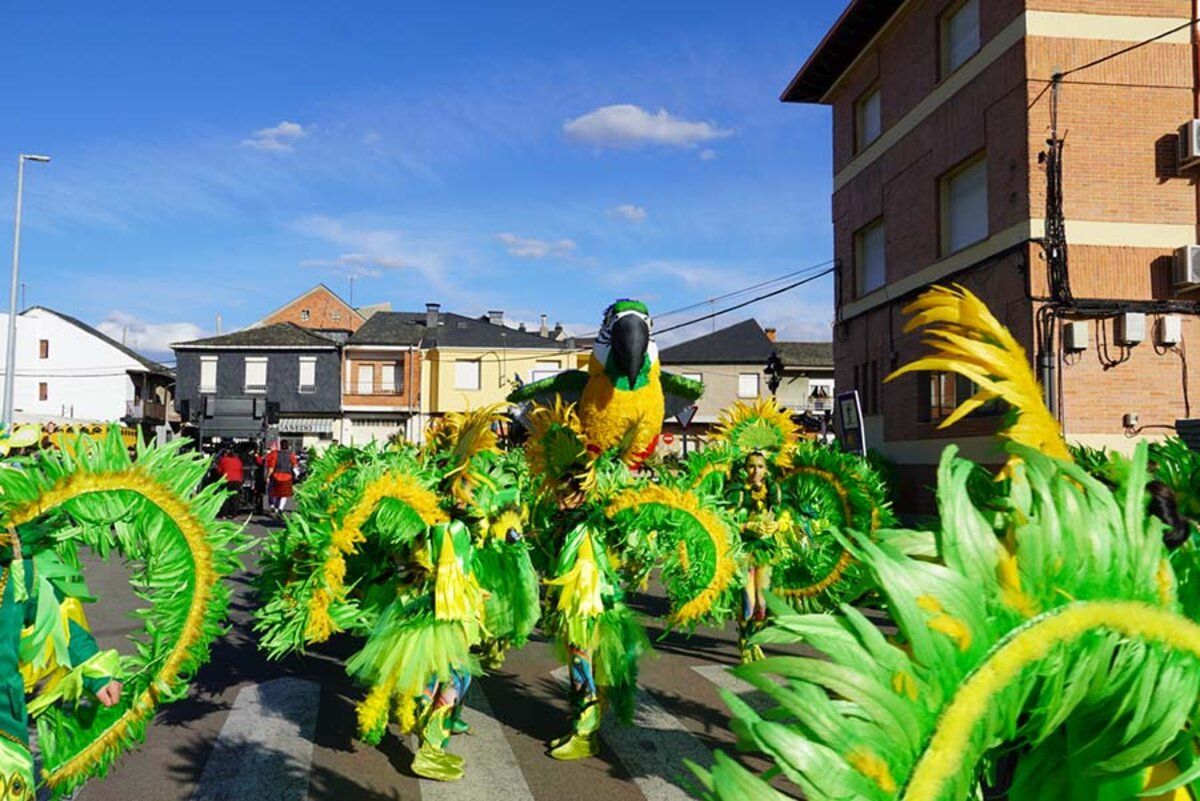 carnaval camponaraya (2)(1)