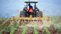 Agricultura, tractores
