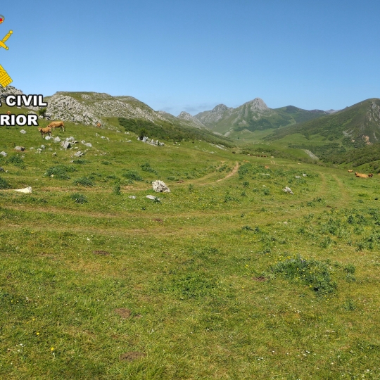 Sierra de Ancares | Seprona Villablino