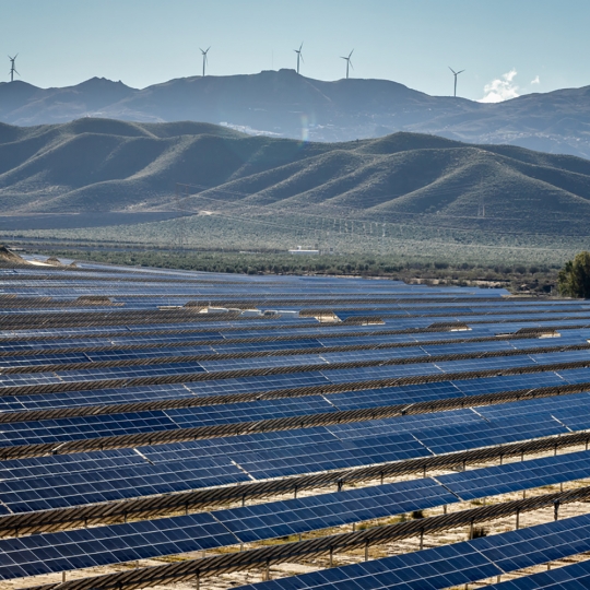 Planta Solar imagen istock autor nachteule