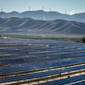 Planta Solar imagen istock autor nachteule