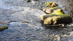 La CHMS mejora el arroyo Pradoluengo en Bembibre con una inversión superior a 10.000 euros