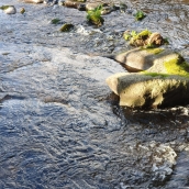 La CHMS mejora el arroyo Pradoluengo en Bembibre con una inversión superior a 10.000 euros