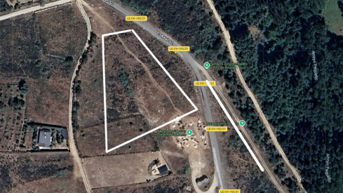 Plantación de El Rosal