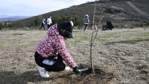 El Centro Comercial El Rosal organiza la iniciativa ‘Guardianes del Bosque’ (3)