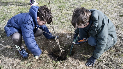 El Centro Comercial El Rosal organiza la iniciativa ‘Guardianes del Bosque’ (4)