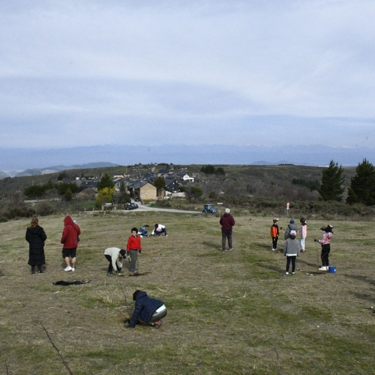 Escolares durante la plantación | Dani Merino (InfoBierzo)