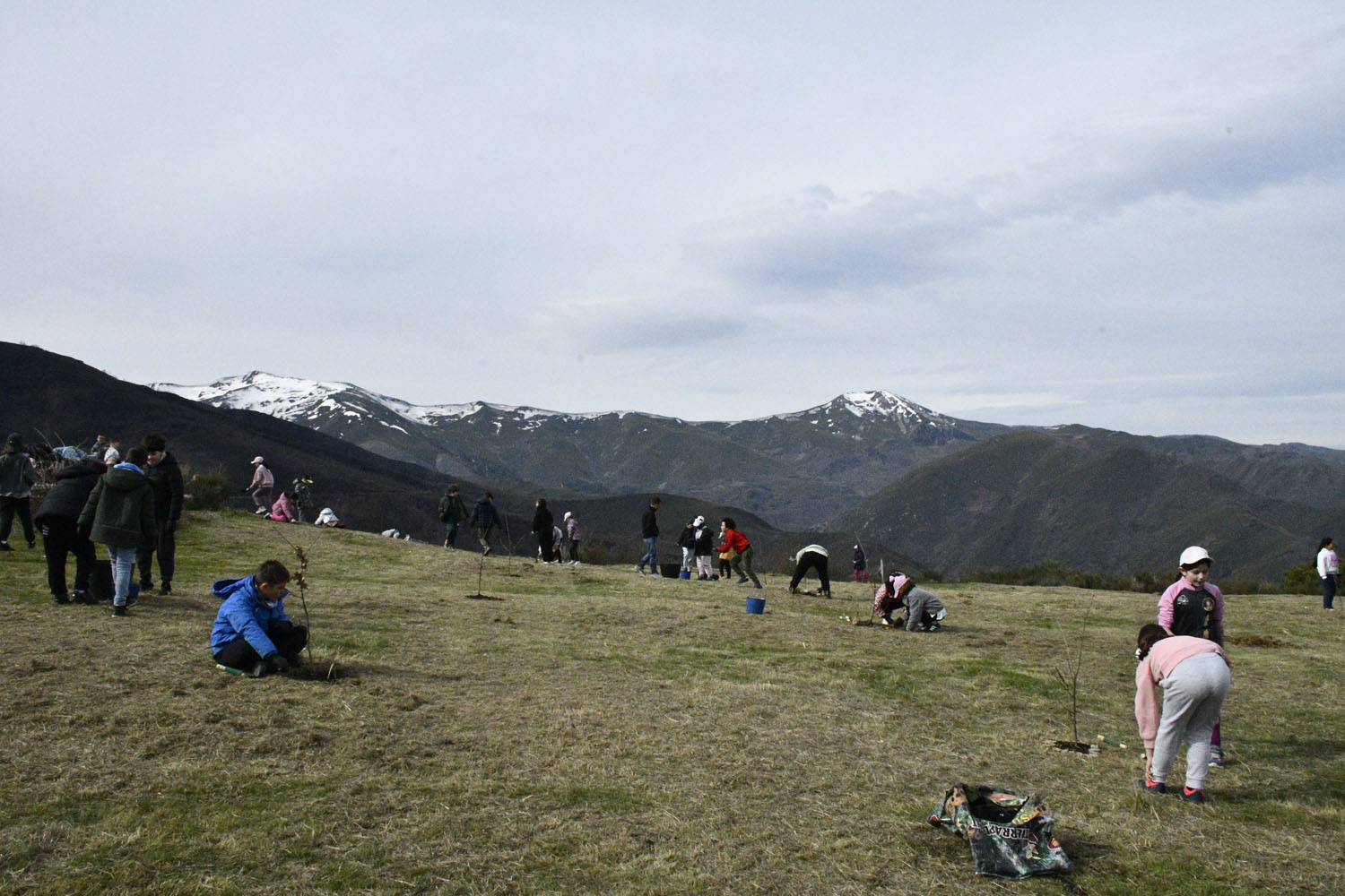El Centro Comercial El Rosal organiza la iniciativa ‘Guardianes del Bosque’ (13)