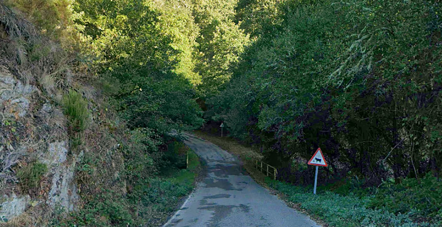 LE4111 entre Balboa y Chan de Villar