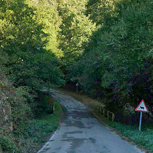 LE  4111 entre Balboa y Chan de Villar