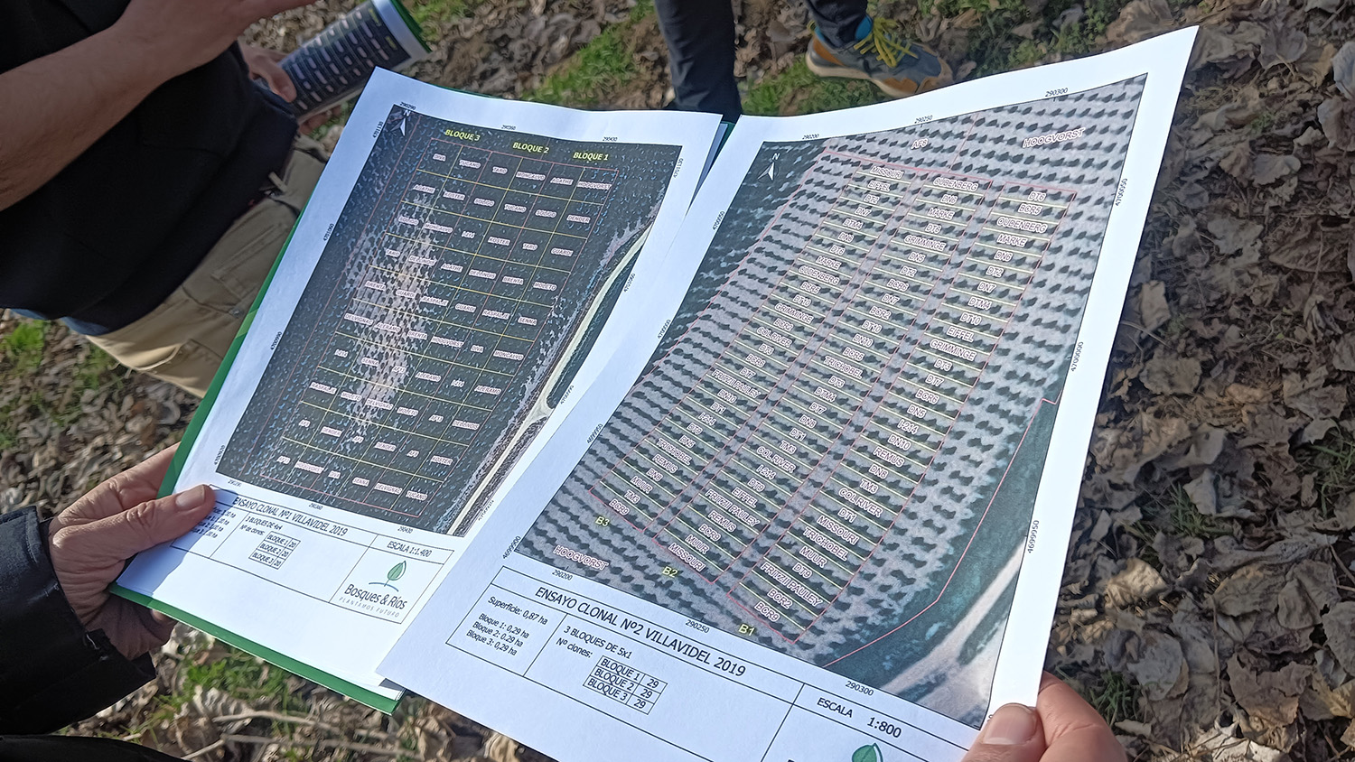 JornadaChopo EscuelaAgrarias ULE .