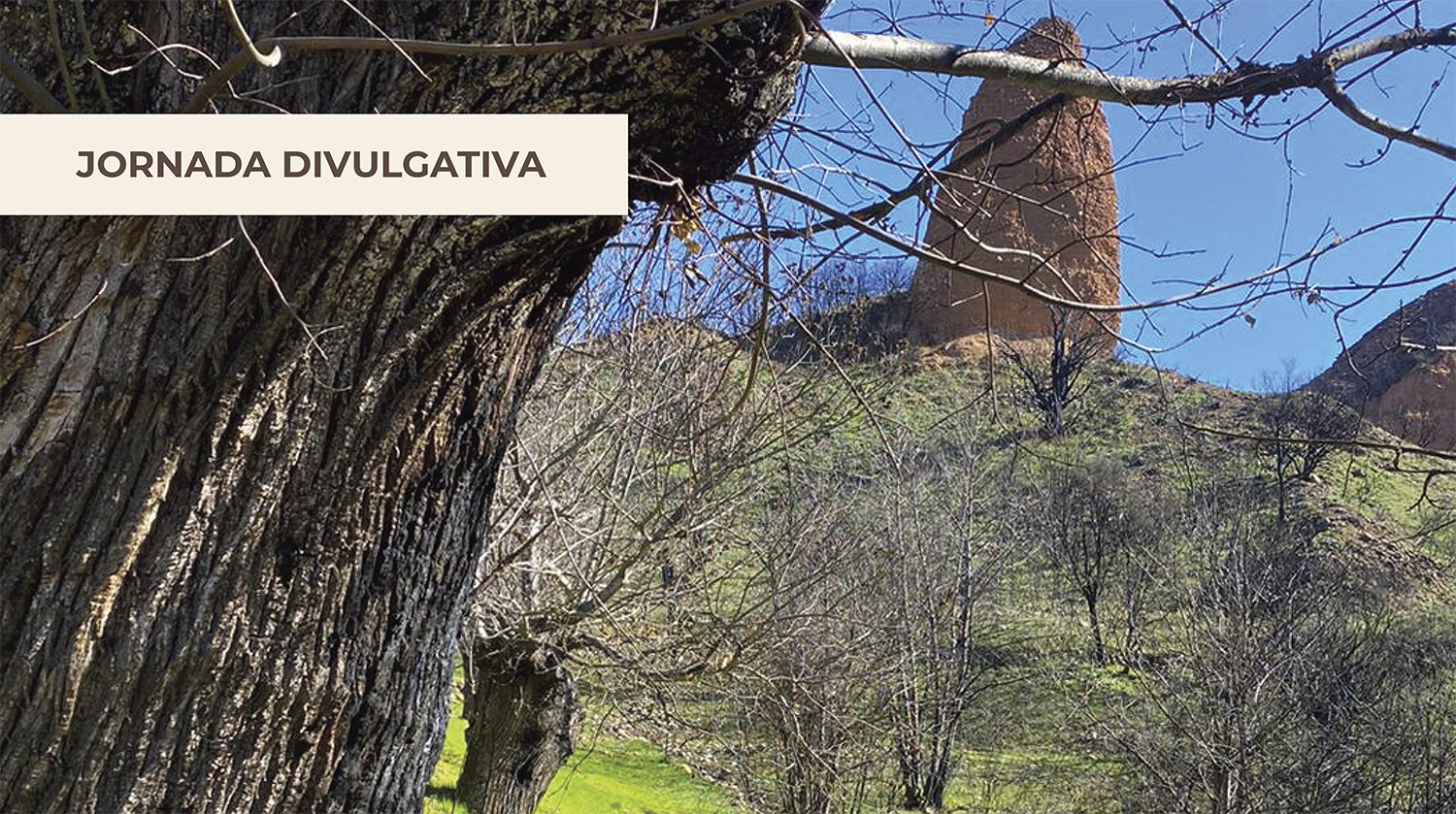 La gestión de sotos tradicionales como escudo vital contra los incendios forestales en El Bierzo