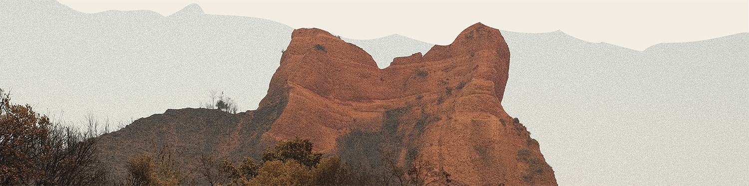 La gestión de sotos tradicionales como escudo vital contra los incendios forestales en El Bierzo.