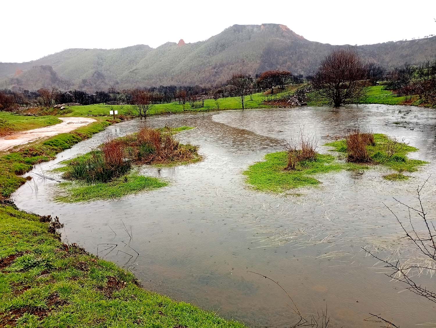 LAGUNA LARGA FEBRERO 2026.