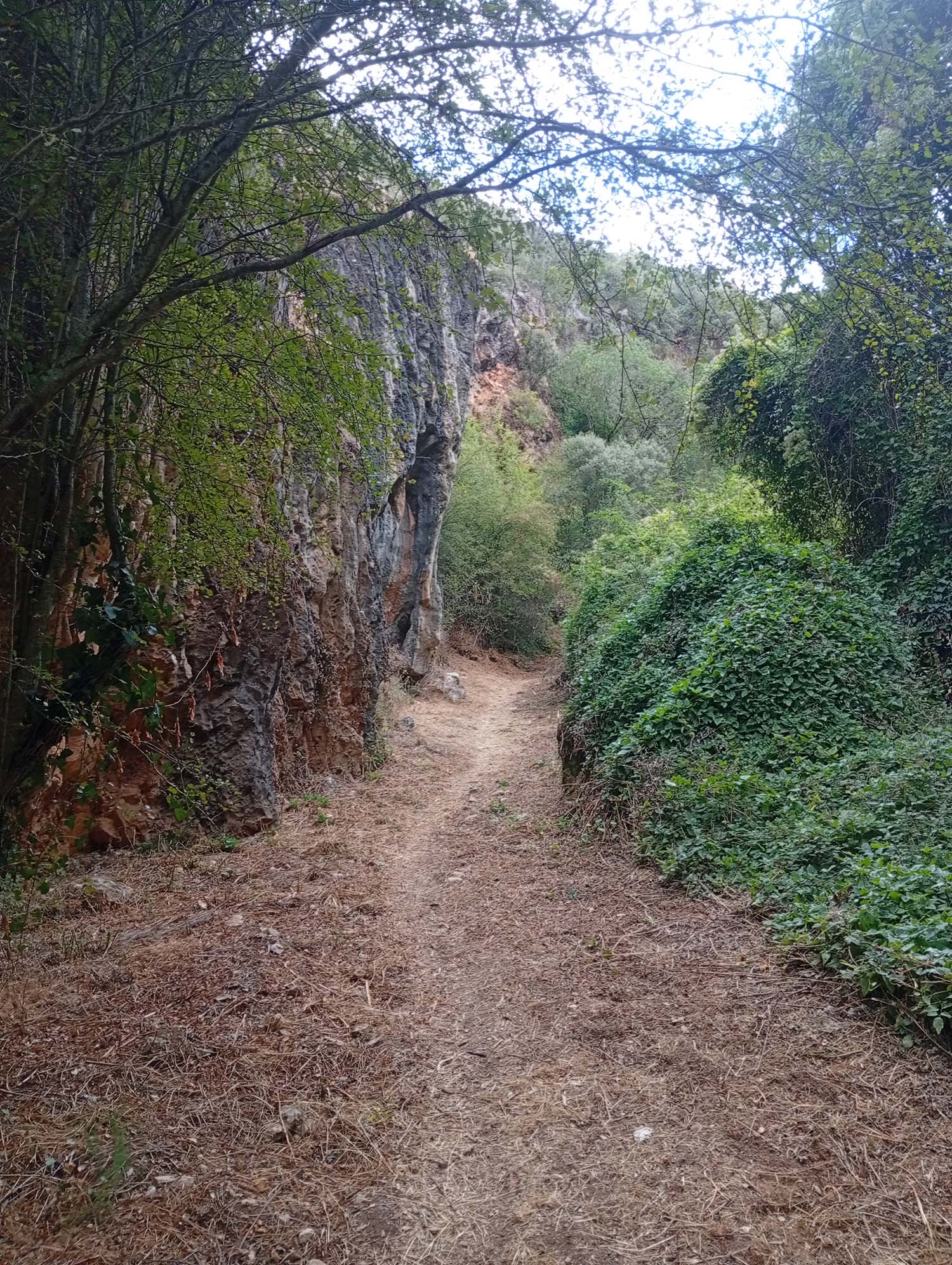 DESFILADERO LA BALOUTA SEPTIEMBRE 2025.