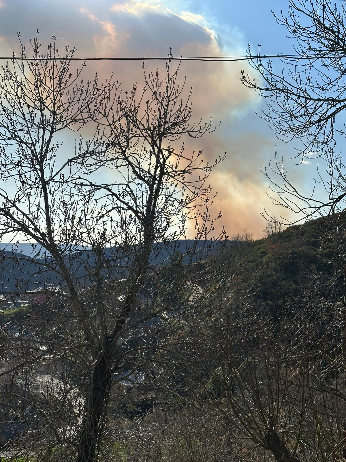 Incendio Igüeña 