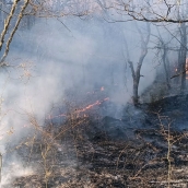 Incendio Igüeña